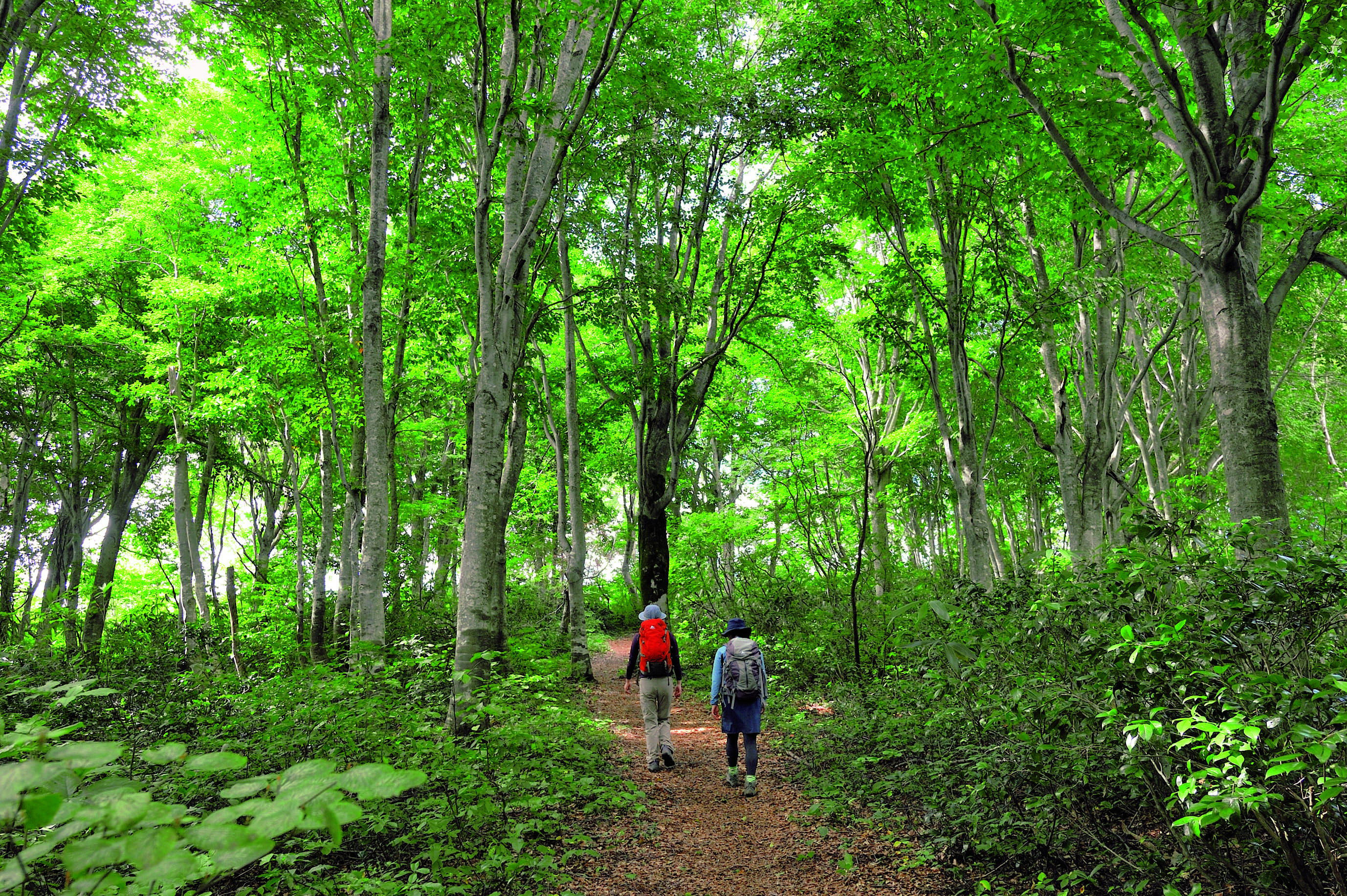 コース情報最新版